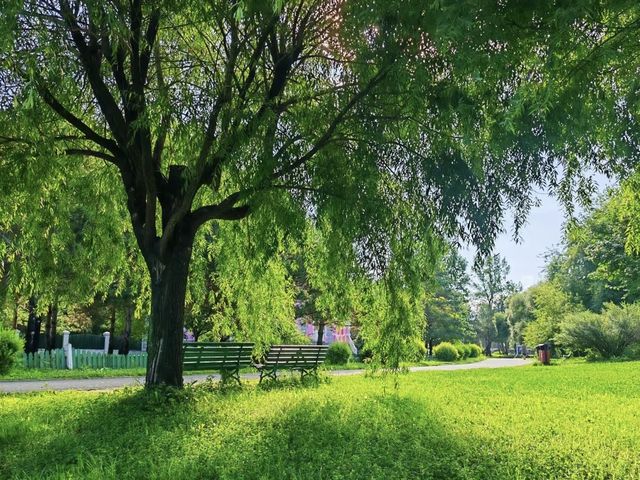 夏日限定！哈爾濱伏爾加莊園，20℃嘅清涼避暑秘笈