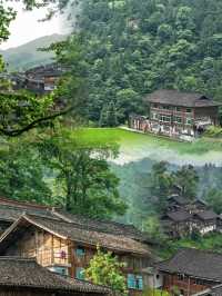 黔东南·雀鸟村｜山人嘅靈魂歸處