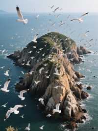 被低估嘅避暑秘境地｜福建霞浦嵛山島
