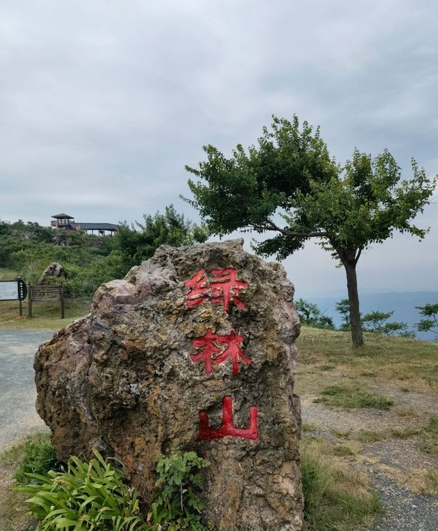 探秘京山：綠林漂流×虎爪紅葉×太子餵鹿全攻略！