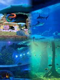 【2025親子必打卡！四大奇幻之旅承包童年驚喜】