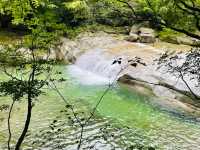 去咗米倉山國家森林公園3次，終於玩到明晒。