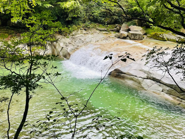 去咗米倉山國家森林公園3次，終於玩到明晒。