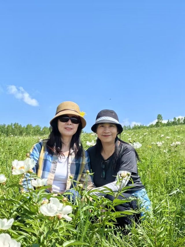 呼倫貝爾寶藏玩法：芍藥花海你看過嗎？
