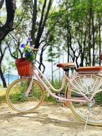 洱海單車遊必睇攻略