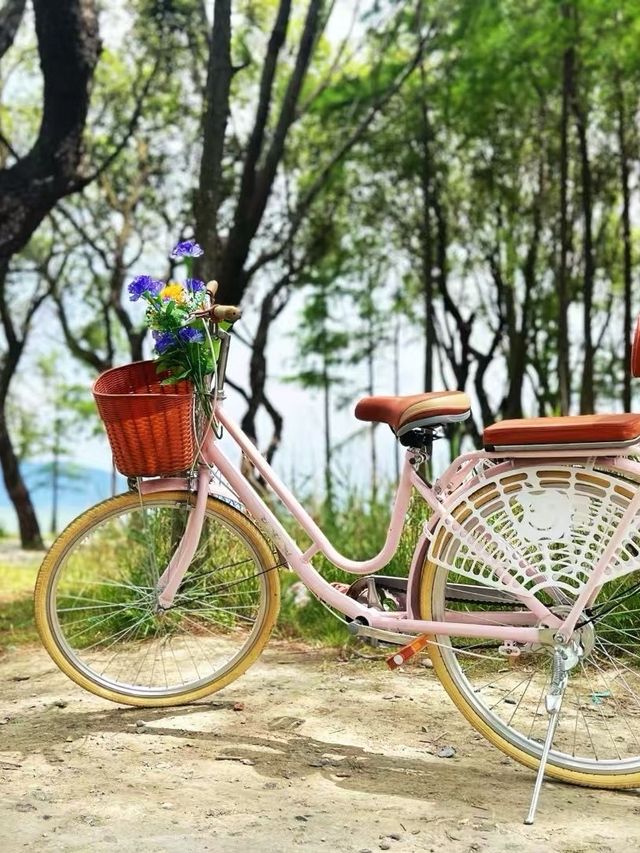 洱海單車遊必睇攻略