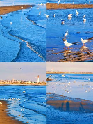 Just got back from Qinhuangdao, here's the honest truth