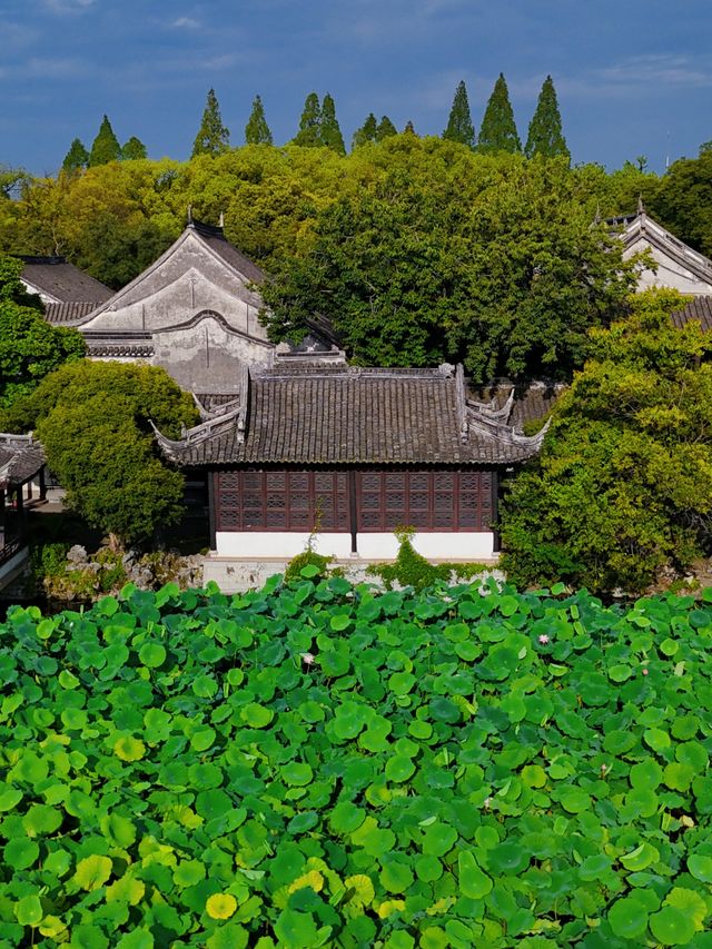 江南水鄉嘅悠閒，呢度「綠」嘅濃度爆燈