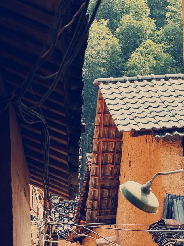 麗水・松陽「松荘村」の魅力と旅のコツ｜古村・自然・絶景が詰まった秘境ガイド​