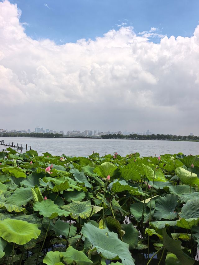 暴雨之後出太陽，西湖嘅雲好唔真實