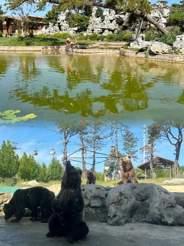 暑期帶小朋友去歐樂堡親子遊|帶小朋友圓夢童話城堡