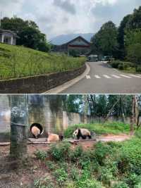 碧峰峽避暑懶人包 23℃過夏天超舒服