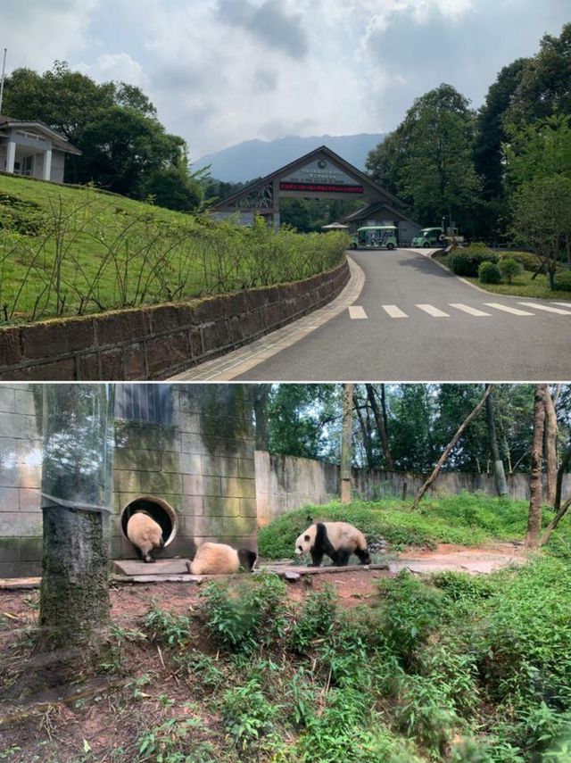 碧峰峽避暑懶人包 23℃過夏天超舒服