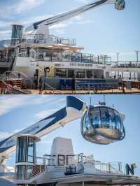 🛳️ 郵輪旅行➡️日本回歸啦！5日懶人行程全攻略｜超省心 ✨