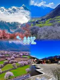 林芝有「西藏江南」嘅美譽，自然風光優美，民族文化獨特。以下係一份旅遊攻略： 景點推薦 - 雅