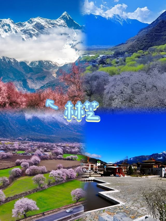 林芝有「西藏江南」嘅美譽，自然風光優美，民族文化獨特。以下係一份旅遊攻略： 景點推薦 - 雅