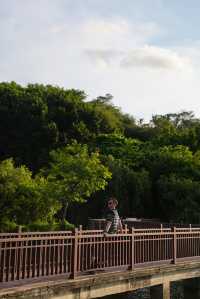 喺城市綠洲裏面，枕住草坪同飛機聲入睡