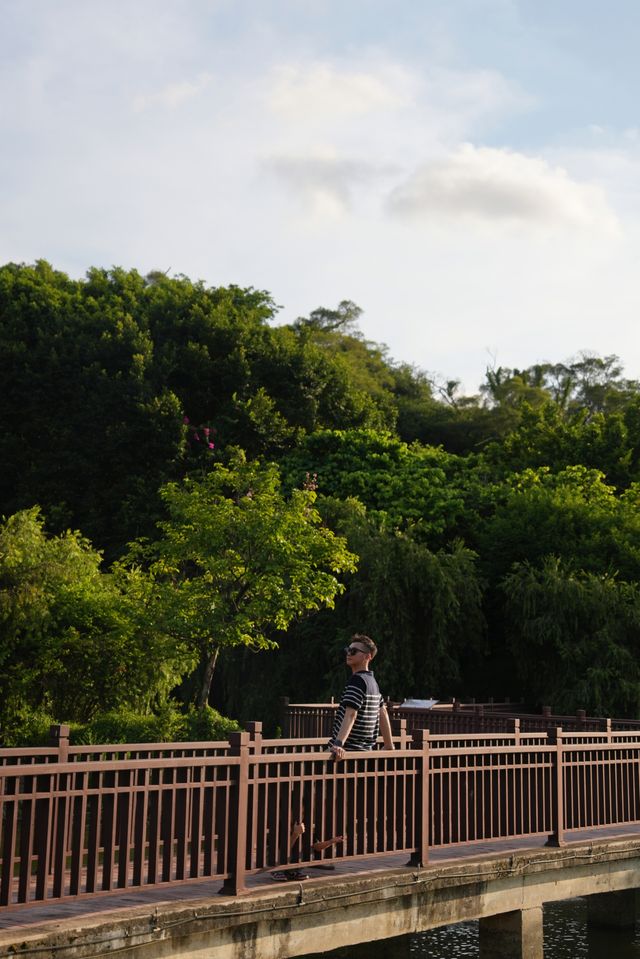 喺城市綠洲裏面，枕住草坪同飛機聲入睡