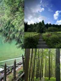 重慶森林氧吧！武陵山20℃避暑仙境 重慶周邊遊頂配攻略來
