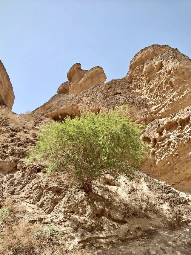 石林深處，黃河彎出一場壯闊夢境