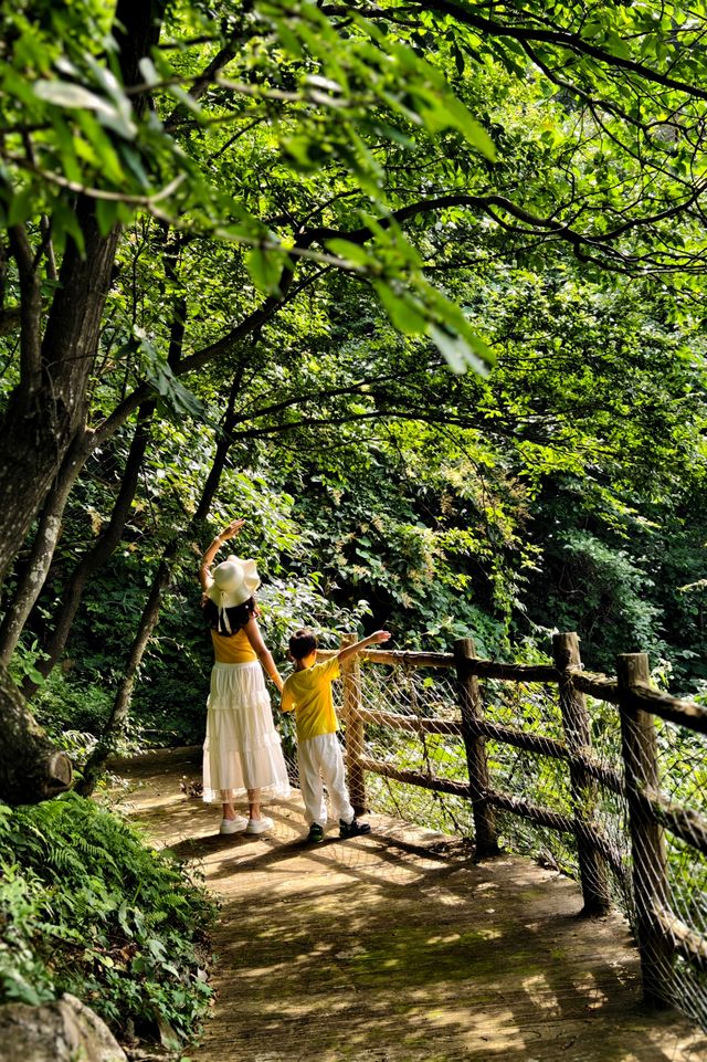 湖北百里荒避暑？適合帶小朋友嗎？講講真實感受