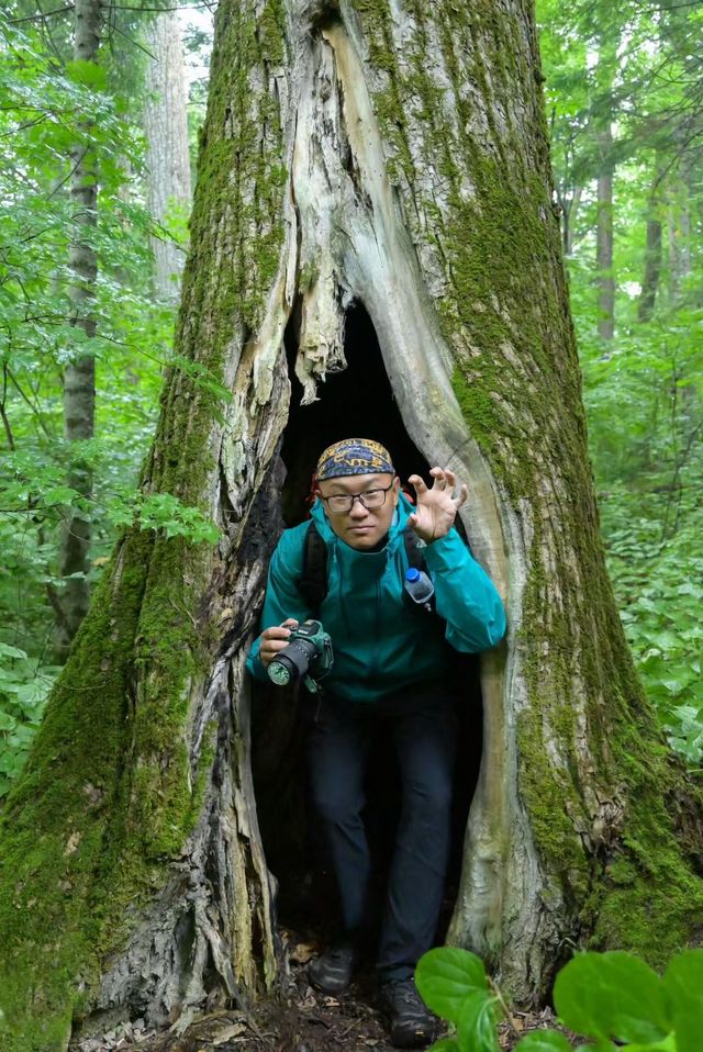 打開鏡頭,蘑菇登場 打開鏡頭,蘑菇登場