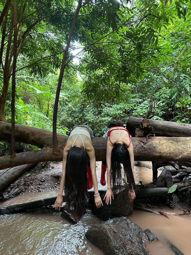 基諾山雨林遠足｜當快樂馬騮嘅24小時爆笑實錄酸螞