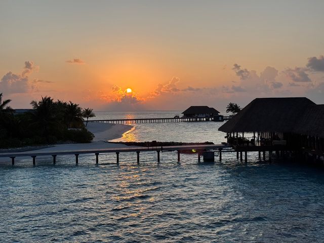 A Memorable Return to the Maldives