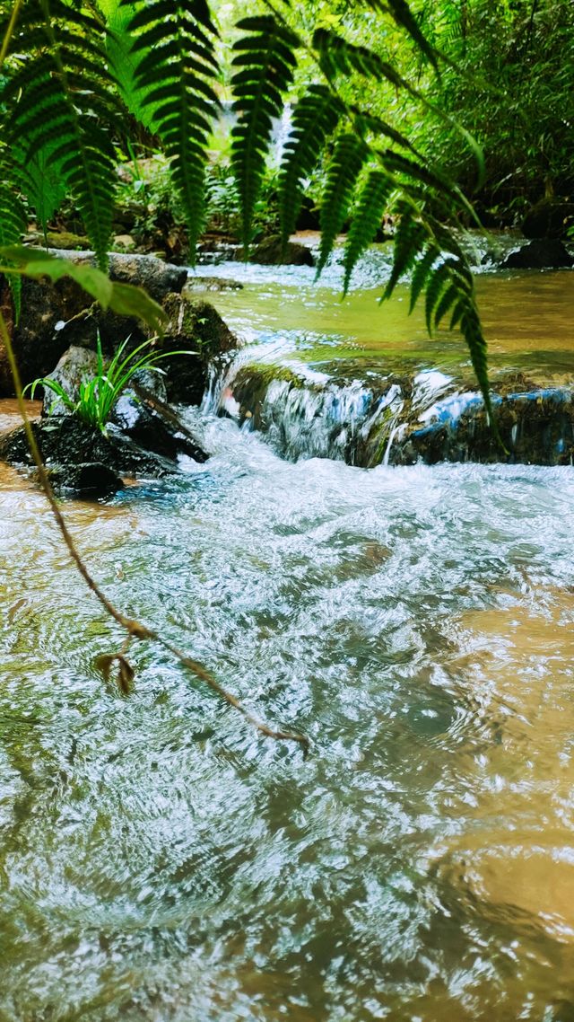 夏末藏著的清涼地！龍頸里踩水挖沙，孩子玩瘋大人放空～