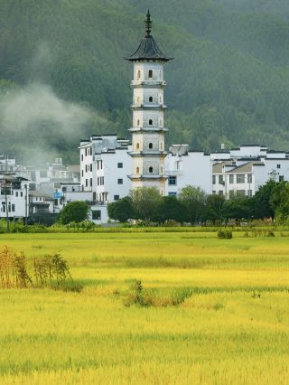 Wuyuan Off-Peak Travel Guide | Discover the Romantic Beauty of Autumn with Fewer Crowds