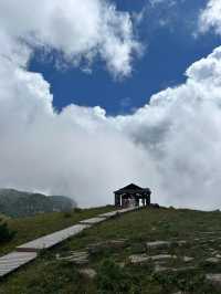 洛陽周邊15℃超冷雲端草原怕冷人慎入！