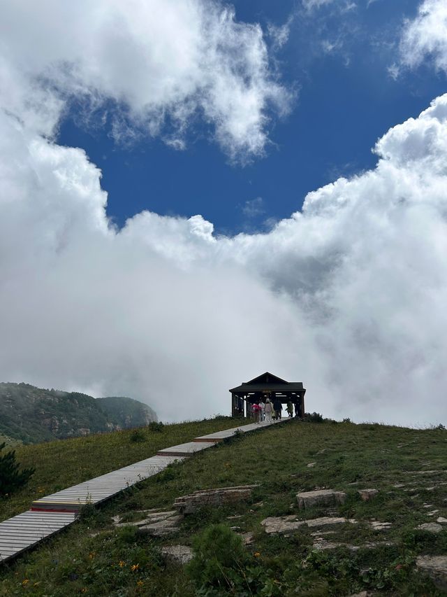 洛陽周邊15℃超冷雲端草原怕冷人慎入！