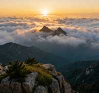 泰山初秋攻略 | 登高賞景正當時，雲海紅葉兩相宜！