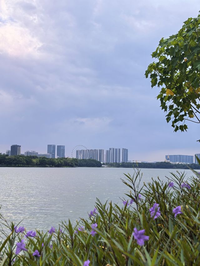 週末輕鬆徒步|順峰山公園9公里環湖路 週末輕鬆徒步|順峰山公園9公里環湖路