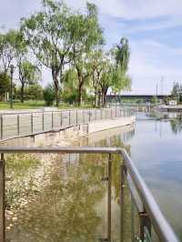 濱河之畔，文化的脈動：濱河文化健身體驗園