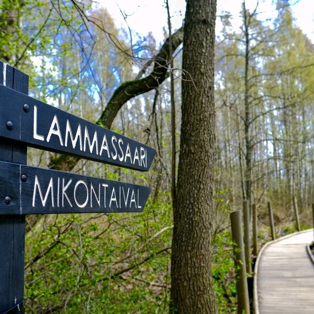 🌿 Lammassaari: Where Helsinki Meets the Swamplands