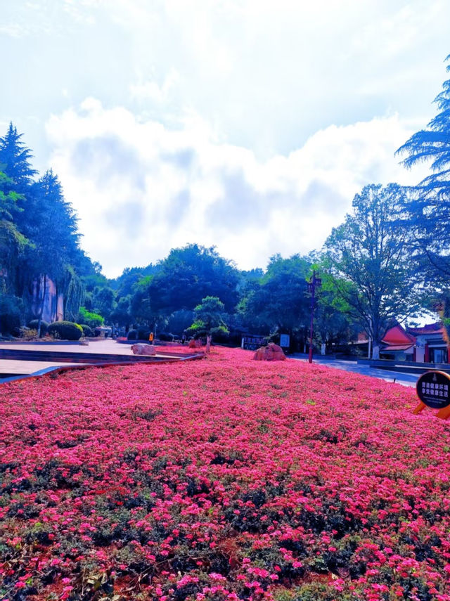 滇東秘境!曲靖深秋隱藏玩法上線,山水文化一鍵全含! 滇東秘境!曲靖深秋隱藏玩法上線,山水文化一鍵全含!
