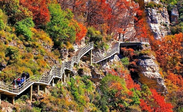 河北秋遊紅葉季節開啟