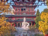 藏在鬧市的百年古寺，毗盧寺的寧靜與厚重，遠比想像中更動人