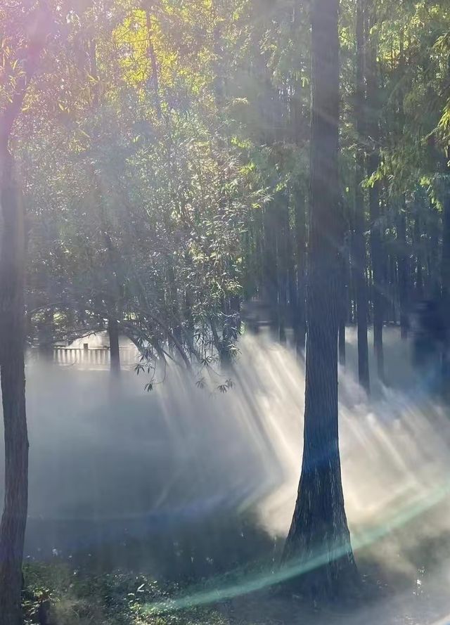 寧波的一個公園，我經常去真喜歡—日湖公園