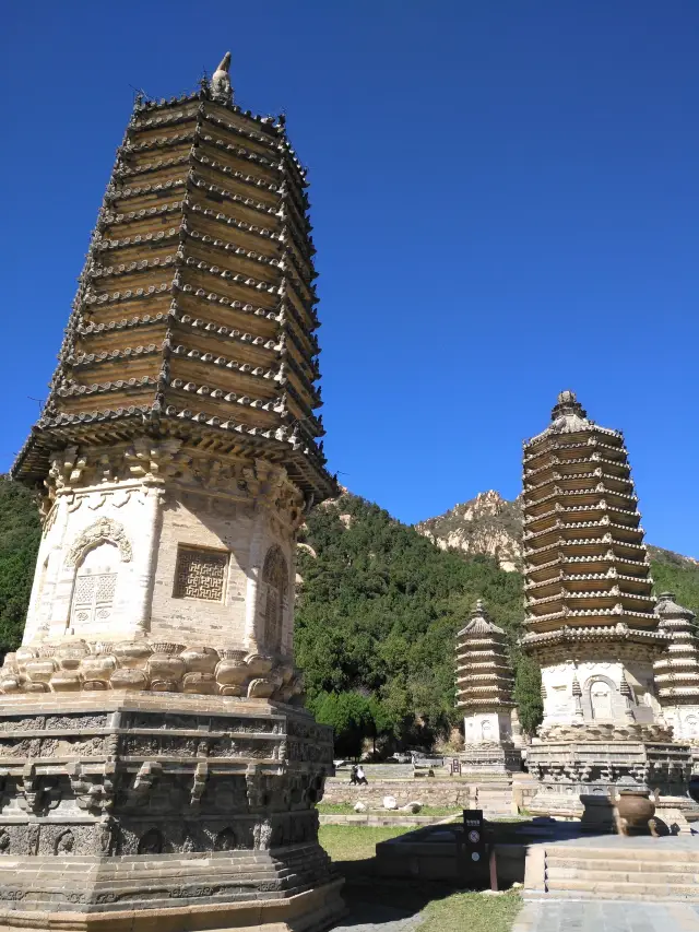 Ancient Pagoda Legacy · Lizard Shadows in Autumn