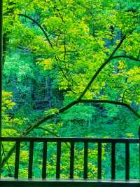 湘西人的私藏秘境這個「小九寨溝」也太絕了吧!