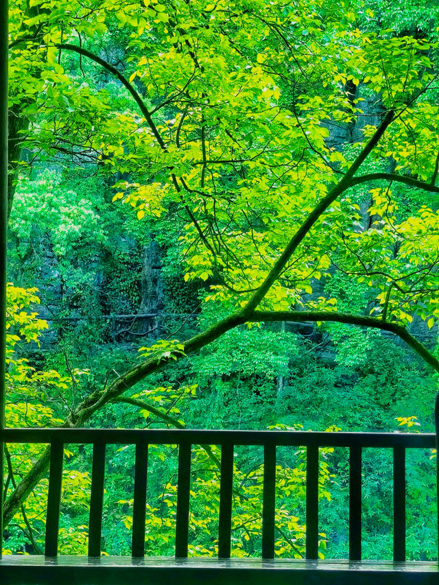 湘西人的私藏秘境這個「小九寨溝」也太絕了吧! 湘西人的私藏秘境這個「小九寨溝」也太絕了吧!