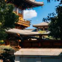 ๐์ํ์ด์ ํ ๋น๋๋ผ ํ ์ ์, ๊ฐ์์ ์๋ฒฝํ ์ ์ทจ ๐ฏ