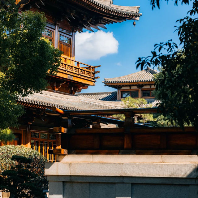 ๐์ํ์ด์ ํ ๋น๋๋ผ ํ ์ ์, ๊ฐ์์ ์๋ฒฝํ ์ ์ทจ ๐ฏ ๐์ํ์ด์ ํ ๋น๋๋ผ ํ ์ ์, ๊ฐ์์ ์๋ฒฝํ ์ ์ทจ ๐ฏ