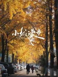 誰懂啊！秋天的都江堰藏著 “金色徒步道”