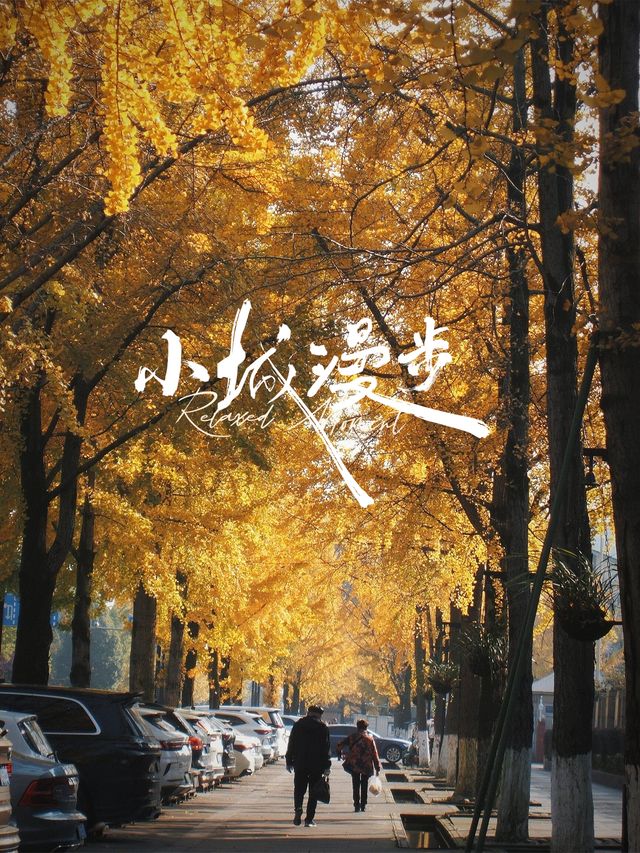 誰懂啊！秋天的都江堰藏著 “金色徒步道”