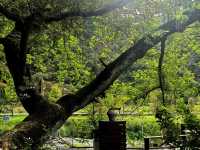 人在旅途、溫州