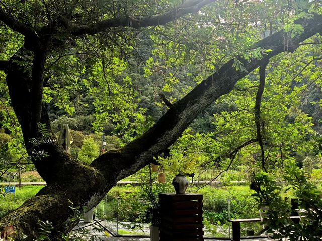 人在旅途、溫州 人在旅途、溫州