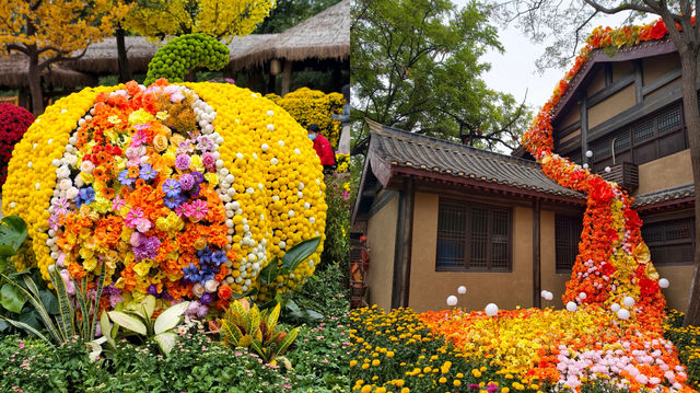 秋天一定要去河南,美翻了 秋天一定要去河南,美翻了